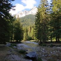 φlippe col (@pm3883) 's Twitter Profile