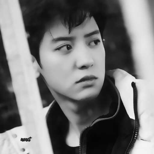 buveffer's profile picture. 