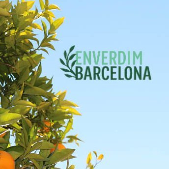 Salvo llavors que s'haurien perdut d'arbres de #Barcelona, de fruites... i les deixo per la ciutat quan ja són plantes per qui se les vulgui endur a casa seva.