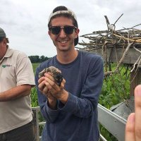 Homeslice (@eth_gl) 's Twitter Profile