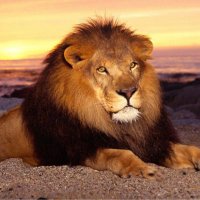 Greg Biggs (@gregbiggs8) 's Twitter Profile