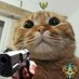 Nguyễn Trung Kiên (@nguyntr60251497) Twitter profile photo Nguyễn Trung Kiên (@nguyntr60251497) Twitter profile photo
