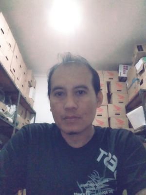 Roses991's profile picture.