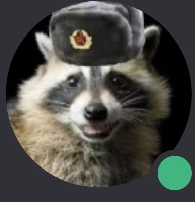BabamovCbabamov's profile picture. 