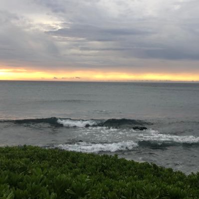 carolynjfarley's profile picture. I'm a mom to 2 great kids. I have a job I truly like.  Hawkeye fan.