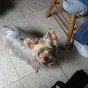 Ed Grande - @sittexg - Twitter