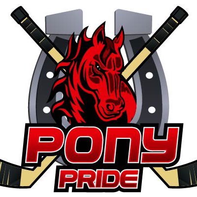 Pony Pride Training