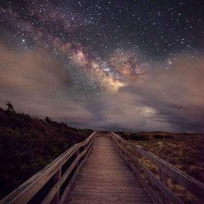 AngiieloXD's profile picture. 