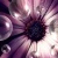 Alzheimer N Dementia (@alzheimrdement) 's Twitter Profile