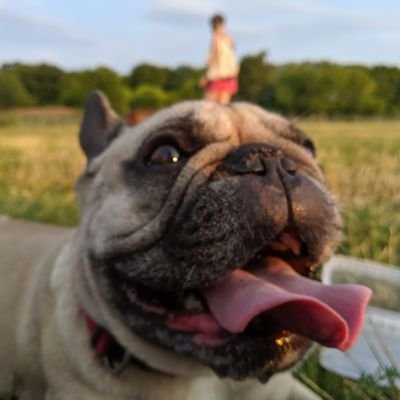 Nature lover, passionate MTBiker, occasionally delving into Bytes, IT Security, Blockchain, and yes, these are my opinions!
