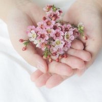 心に刺さる言葉 (@hsbook_bot) 's Twitter Profile Photo