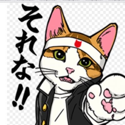 なめ猫 荒野垢 Nemeneko Kouya Twitter なめ猫 荒野垢 Nemeneko Kouya Twitter