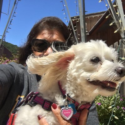 doraleal10's profile picture.