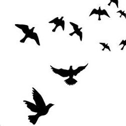 mariamfjhan's profile picture. Medical Doctor  👩🏻‍⚕️