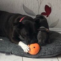 janette grant (@2009grant) 's Twitter Profile