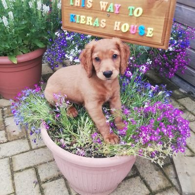 bdoo's profile picture. 