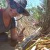 Michelle McKeown (@palaeo_mich) Twitter profile photo Michelle McKeown (@palaeo_mich) Twitter profile photo