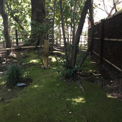 kahoyoshi's profile picture. 