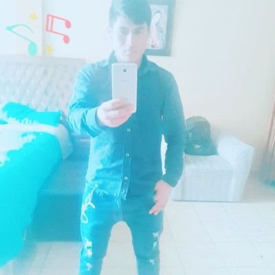 EchigoyaMax's profile picture. Music Perú