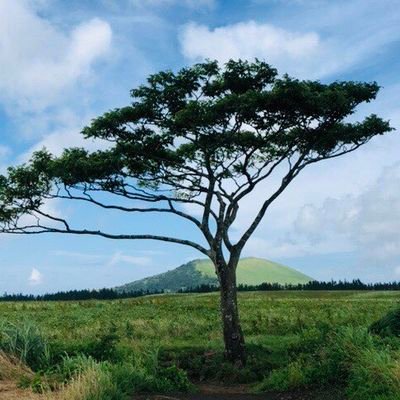 silverb13736131's profile picture. 