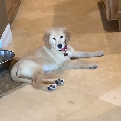 rsclatin's profile picture. 