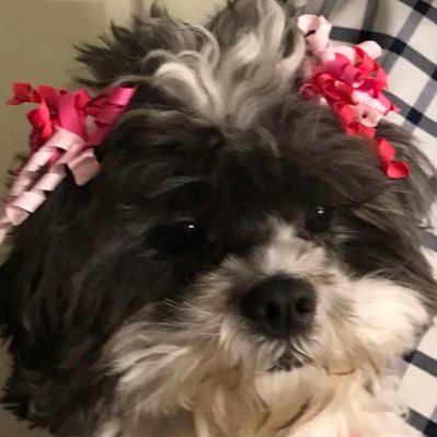 AmyRuth23's profile picture. 