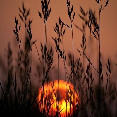 f87451073's profile picture. Lo que hagamos en esta vida, tendrá eco en la eternidad.