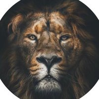 G L O R Y B O Y (@_aannttt2) 's Twitter Profile