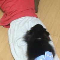 のあ (@hua7irnede) Twitter profile photo