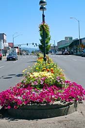 sweethomechambe's profile picture. The Sweet Home Chamber of Commerce is located at 1575 Main Street in Beautiful Sweet Home, Oregon. Our business is business!