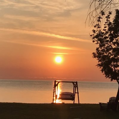 olliesmom99's profile picture. 