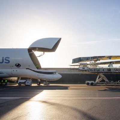 cymitree's profile picture. 눈팅 only