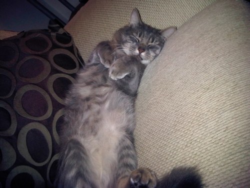 TracieHuggins1's profile picture. 