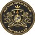 NY INTERNATIONAL FC 🦁 (@NYIntFC) Twitter profile photo
