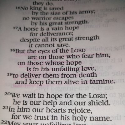 pGakahu's profile picture. Even those who limp walk not backwards | Always learning.