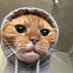 ɪᴢʜᴀɴ (@izzzhan) Twitter profile photo ɪᴢʜᴀɴ (@izzzhan) Twitter profile photo