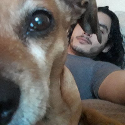 jjggr's profile picture. once upon a time I was toxic, now I'm just a low diamond player trying to improve his gameplay.