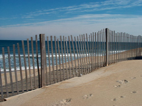 Reflections_Sea's profile picture. Author of weekly newspaper and internet column, Reflections by the Sea http://t.co/0zarBY1w2C