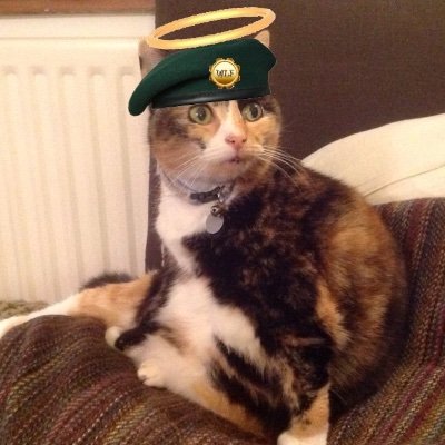 Kernow_Kitteh Profile Picture