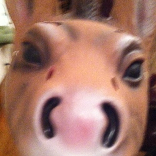 qmccue's profile picture. 