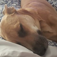 seizetheday (@seizingtheopp) 's Twitter Profile