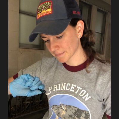 Otolithologist, isotope geochemist, MarineGEO postdoc at Smithsonian Institution, she/her/hers