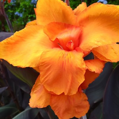 FrancesMcAtamne's profile picture. 