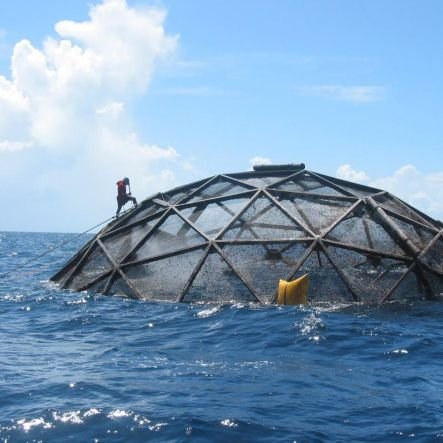 Leading aquaculture industry account for news 📰, technology 📲 & sustainability ♻️ updates
#aquaculture #aquaponics #hydroponics #sustainability
