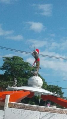 Out of context Ciudad del Carmen. 🐬
Aportaciones al DM. 🦐
