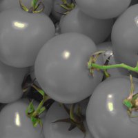 Gtomato (@gtomato3) 's Twitter Profile