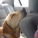 Jordan Tadlock - @jetadlock - Twitter