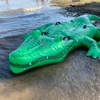 Meth Gator (@omnivore) 's Twitter Profile