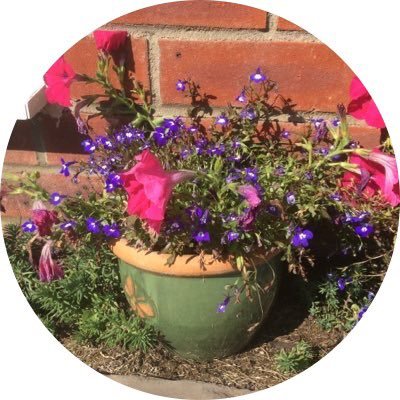 MrsBezoari's profile picture. Y6 teacher, maths geek, love creative teaching ideas and travelling the world.