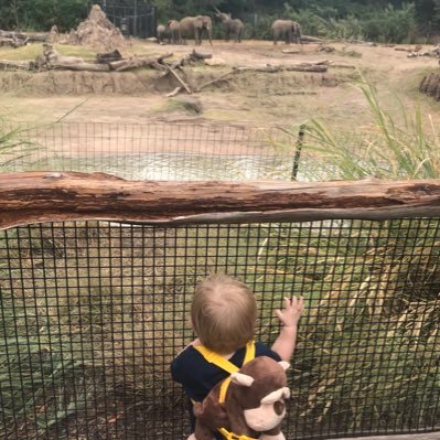 mac10551's profile picture. 